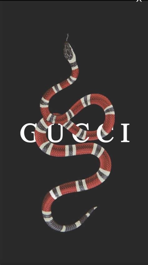 gucci logo aesthetic|gucci aesthetic background.